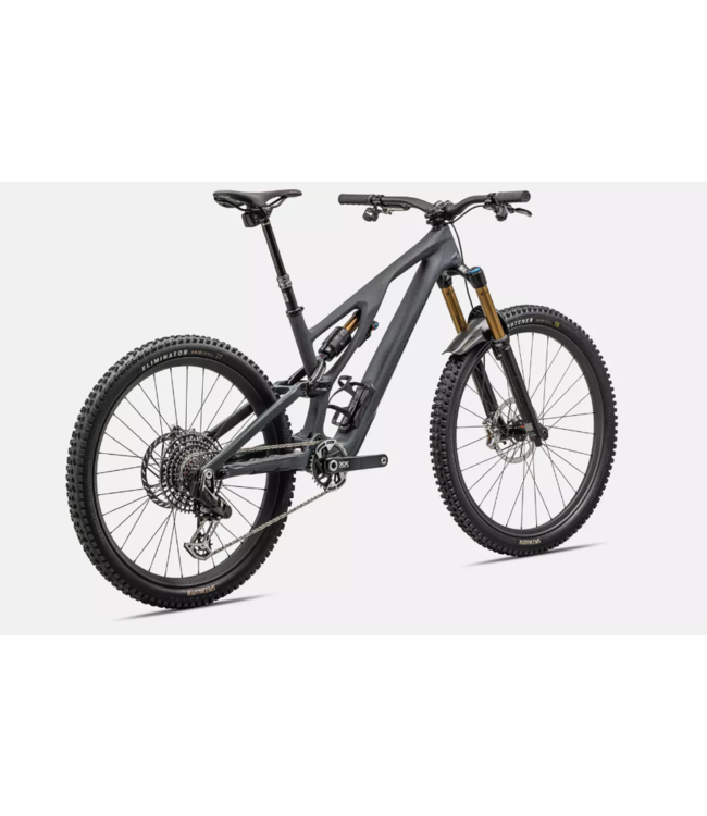 Specialized Bike SWorks StumpJumper EVO 2024 FanatykCo Ski & Cycle