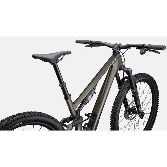 Specialized Bike Stumpjumper 15 Expert 2025