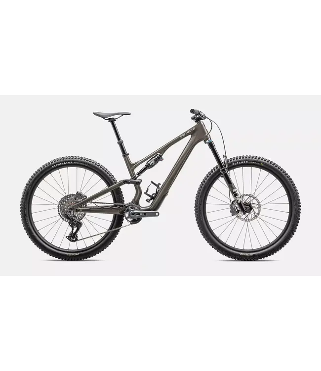 Specialized Bike Stumpjumper 15 Expert 2025