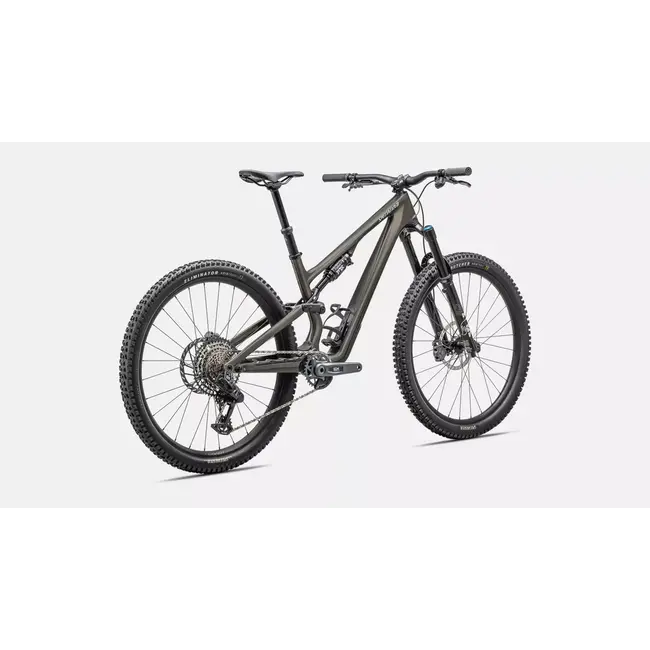 Specialized Bike Stumpjumper 15 Expert 2025