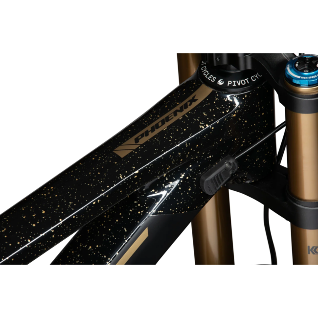 Pivot Bike Phoenix V5 2025 Pro Saint