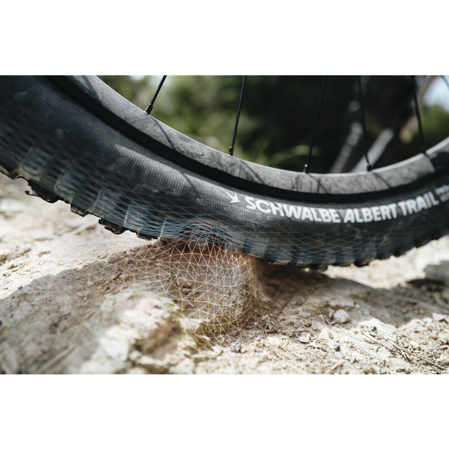 Schwalbe Tire Albert Trail Pro 29"x2.50 Radial  Addix Ultra Soft