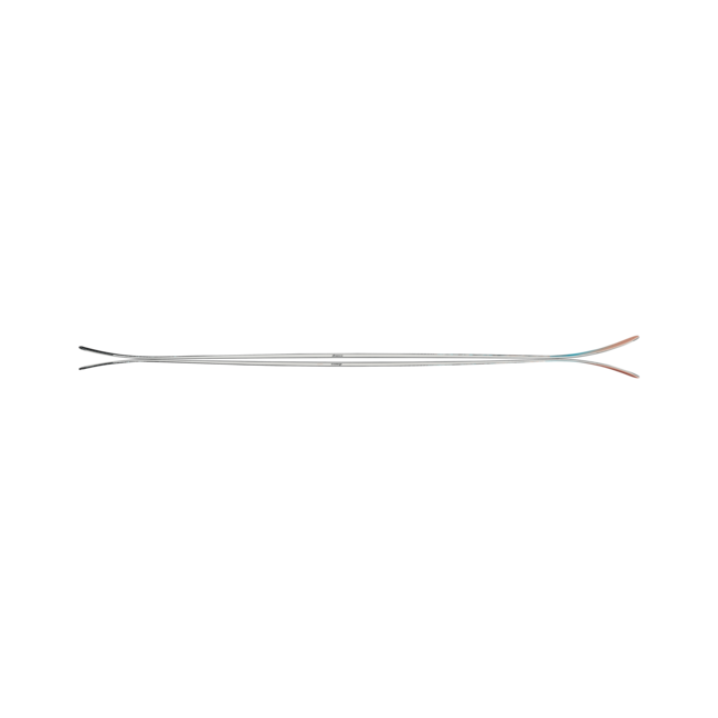 Nordica Ski Santa Ana 102 2027
