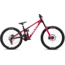 Pivot Bike Phoenix V5 2026 Team XX Special Edition