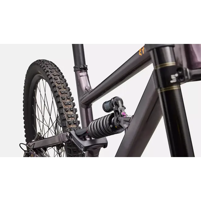 Specialized Bike Status 170 2 DH 2026