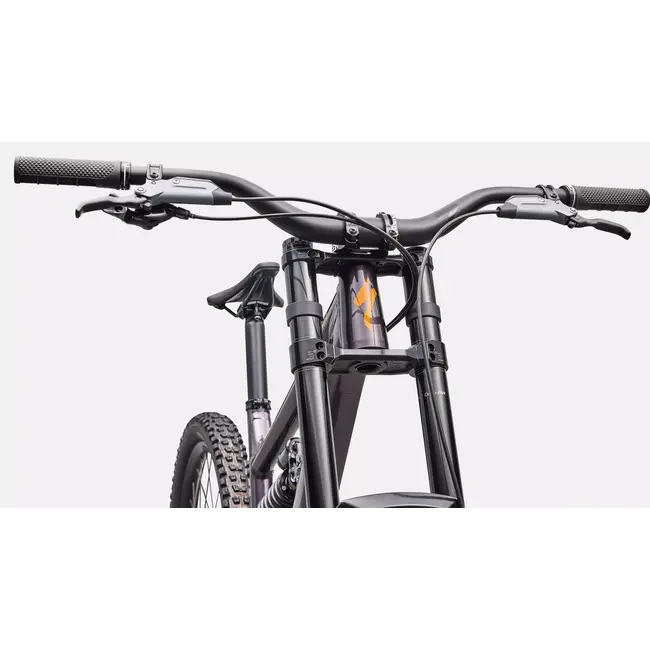 Specialized Bike Status 170 2 DH 2026