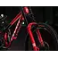Pivot Bike Phoenix V5 2026 Team XX Special Edition
