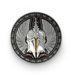 Norse Foundry Single 45mm Class Coin - Paladin