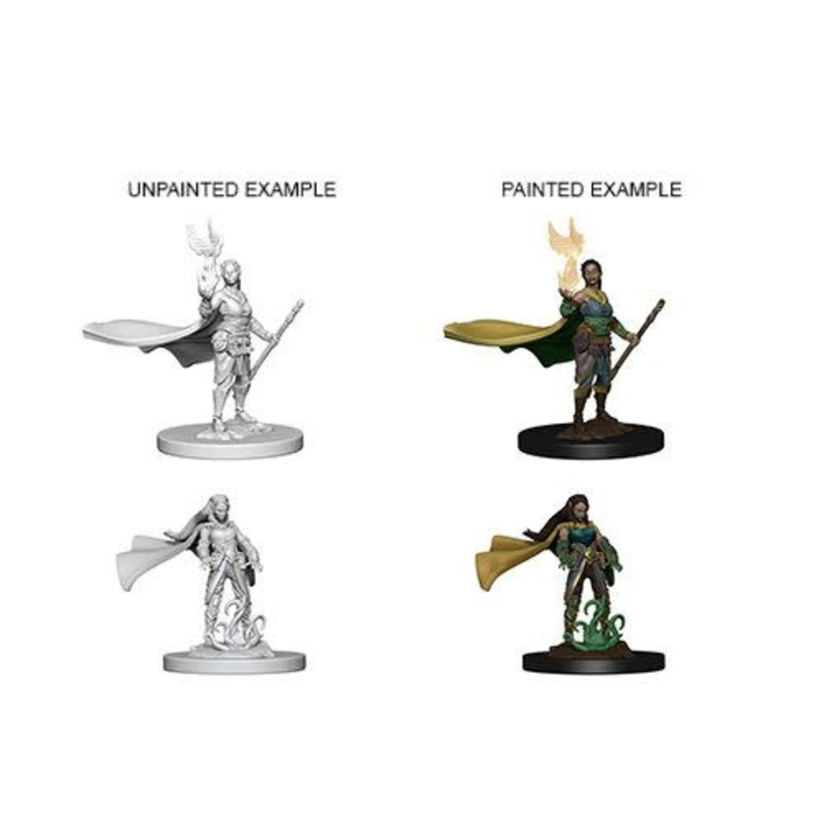 WizKids D&D: Nolzur's Marvelous Miniatures: Elf Druid