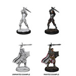 WizKids D&D: Nolzur's Marvelous Miniatures: Human Paladin