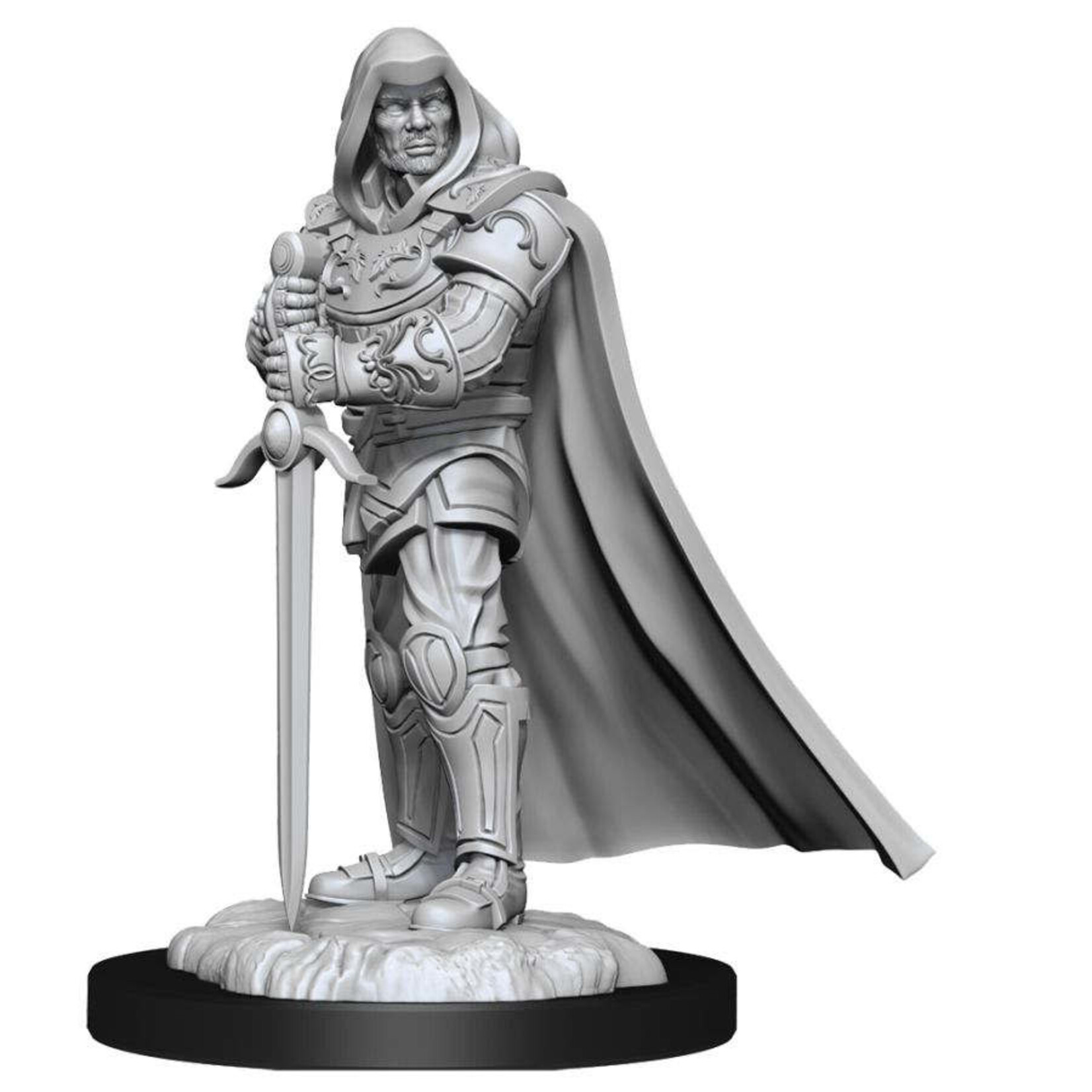 WizKids D&D: Nolzur's Marvelous Miniatures: Human Paladin