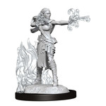WizKids D&D: Nolzur's Marvelous Miniatures: Multiclass Warlock + Sorcerer