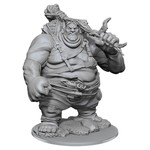 WizKids D&D: Nolzur's Marvelous Miniatures: Hill Giant