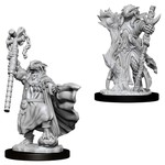WizKids D&D: Nolzur's Marvelous Miniatures: Dragonborn Sorcerer