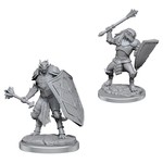 WizKids D&D: Nolzur's Marvelous Miniatures: Dragonborn Clerics