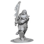 WizKids D&D: Nolzur's Marvelous Miniatures: Fire Giant