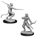 WizKids D&D: Nolzur's Marvelous Miniatures: Tabaxi Rogue