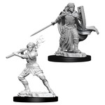 WizKids D&D: Nolzur's Marvelous Miniatures: Human Paladin