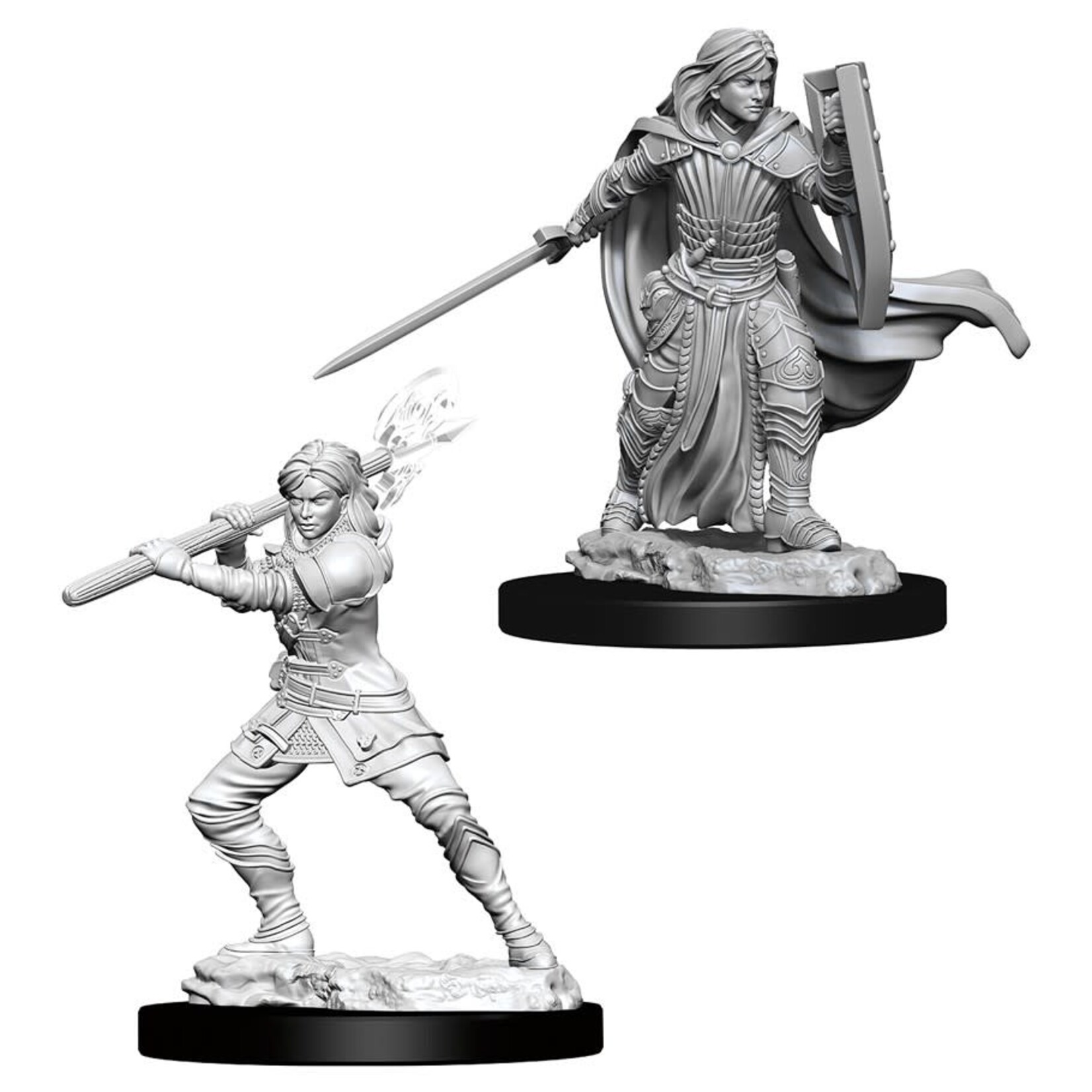 WizKids D&D: Nolzur's Marvelous Miniatures: Human Paladin