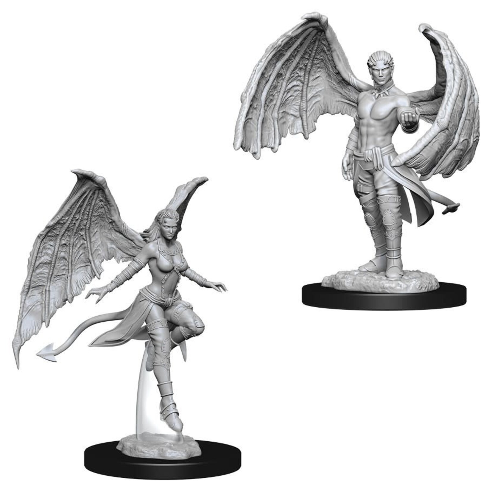 WizKids D&D: Nolzur's Marvelous Miniatures: Succubus & Incubus
