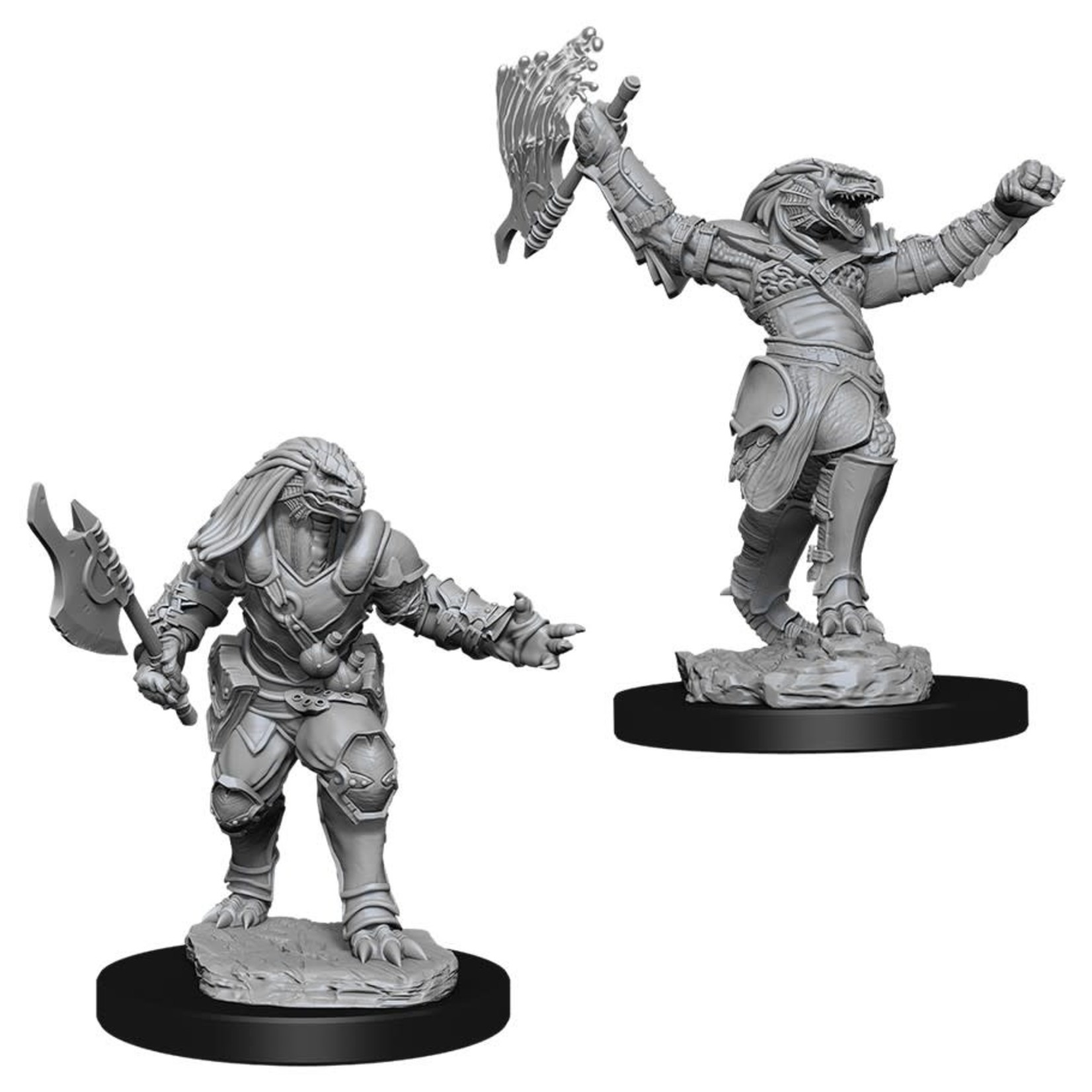 WizKids D&D: Nolzur's Marvelous Miniatures: Dragonborn Fighter
