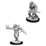 WizKids D&D: Nolzur's Marvelous Miniatures: Dragonborn Paladin