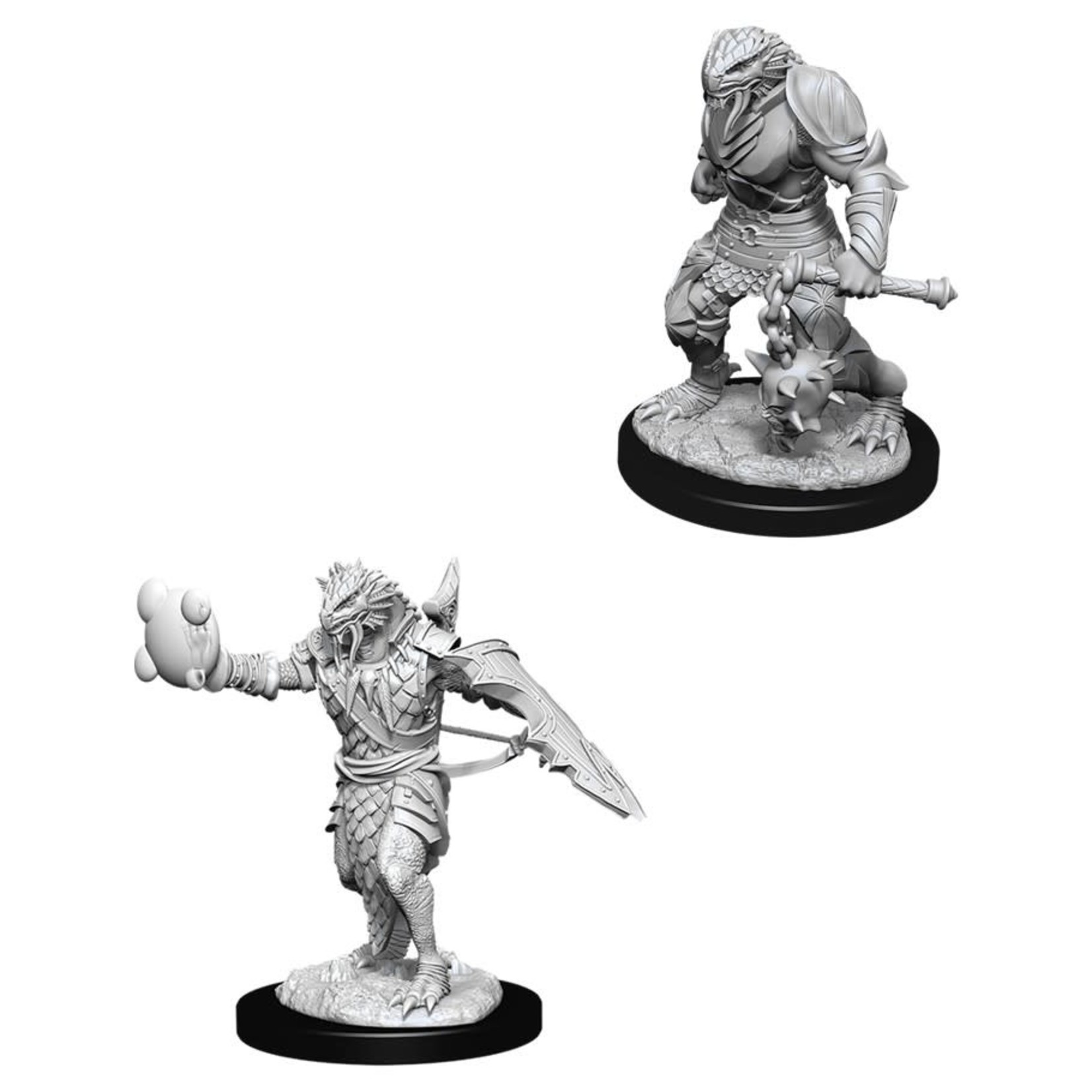 WizKids D&D: Nolzur's Marvelous Miniatures: Dragonborn Paladin