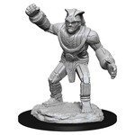 WizKids D&D: Nolzur's Marvelous Miniatures: Stone Golem