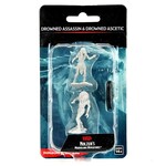 WizKids D&D: Nolzur's Marvelous Miniatures: Drowned Assassin & Drowned Ascetic
