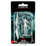 WizKids D&D: Nolzur's Marvelous Miniatures: Planetar