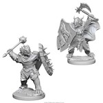 WizKids D&D: Nolzur's Marvelous Miniatures: Dragonborn Paladin