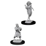 WizKids D&D: Nolzur's Marvelous Miniatures: Satyr & Dryad