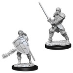 WizKids D&D: Nolzur's Marvelous Miniatures: Human Fighter