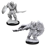 WizKids D&D: Nolzur's Marvelous Miniatures: Dragonborn Fighter