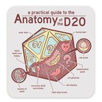 Forged Gaming Waterproof Die Cut Vinyl Sticker: Anatomy of the D20