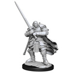 WizKids D&D: Nolzur's Marvelous Miniatures: Half-Orc Paladin