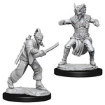 WizKids D&D: Nolzur's Marvelous Miniatures: Human Monk
