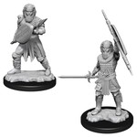 WizKids D&D: Nolzur's Marvelous Miniatures: Human Fighter