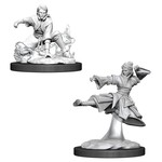 WizKids D&D: Nolzur's Marvelous Miniatures: Human Monk