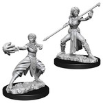 WizKids D&D: Nolzur's Marvelous Miniatures: Half-Elf Monk
