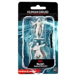 WizKids D&D: Nolzur's Marvelous Miniatures: Human Druid