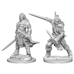 WizKids Pathfinder: Deep Cuts: Male Human Fighter