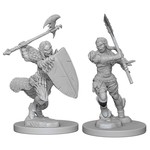 WizKids Pathfinder: Deep Cuts: Half-Orc Barbarian