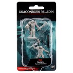 WizKids D&D: Nolzur's Marvelous Miniatures: Dragonborn Paladin