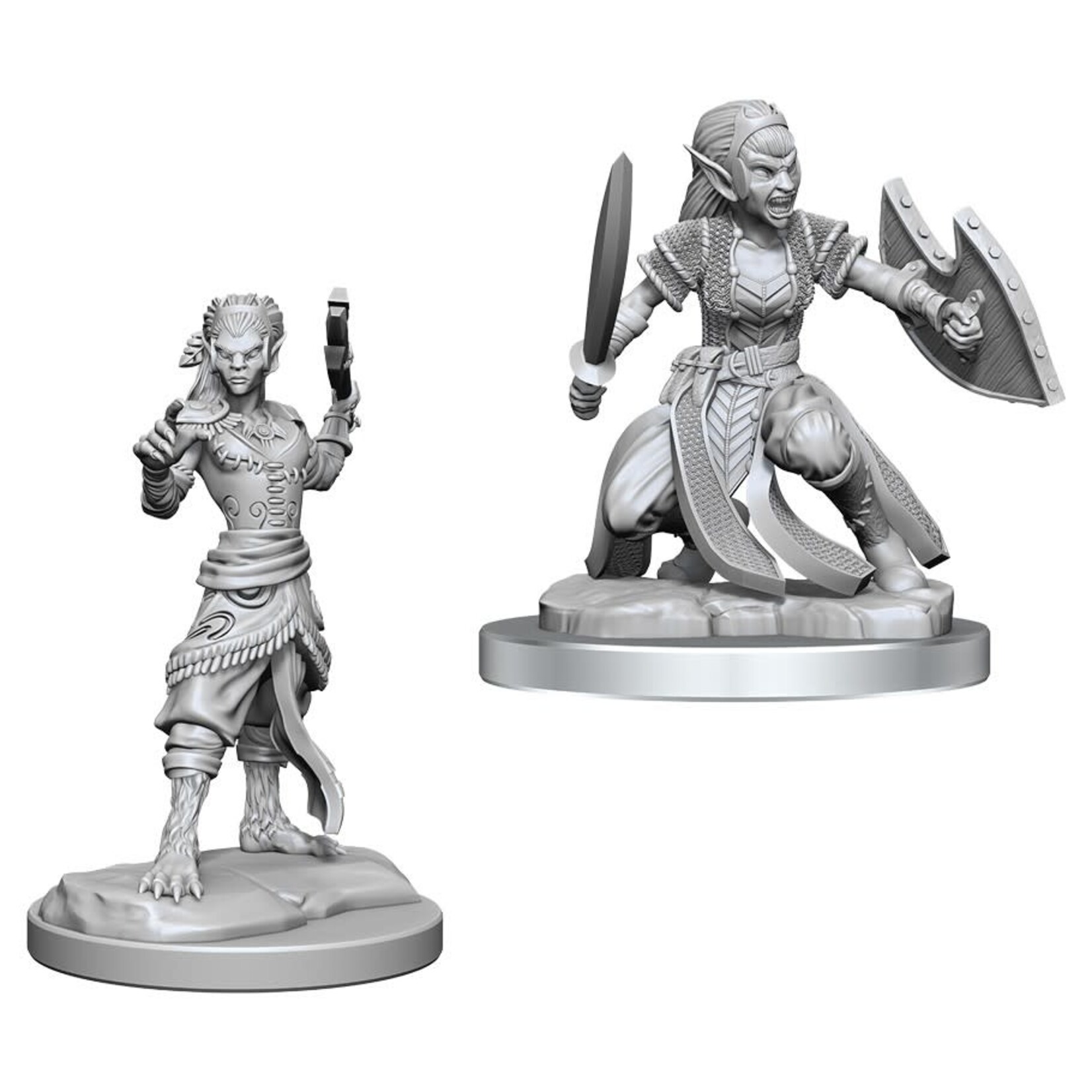 WizKids D&D: Nolzur's Marvelous Miniatures: Shifter Fighter