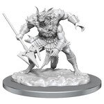 WizKids D&D: Nolzur's Marvelous Miniatures: Sahuagin Baron