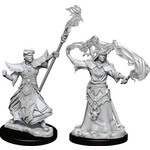 WizKids Pathfinder: Deep Cuts: Male Human Sorcerer