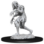 WizKids Pathfinder: Deep Cuts: Annis Hag & Green Hag