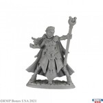 Reaper Miniatures Bones: Alaedril Starbloom, Elf Wizard
