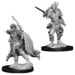WizKids D&D: Nolzur's Marvelous Miniatures: Elf Rogue